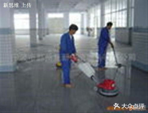專業服務，潔凈生活——杭州新思維保潔公司的全方位生活與家居美化方案